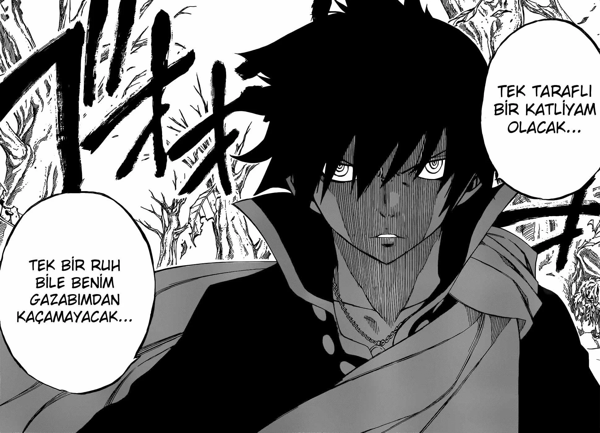 Fairy Tail - Sayfa 15
