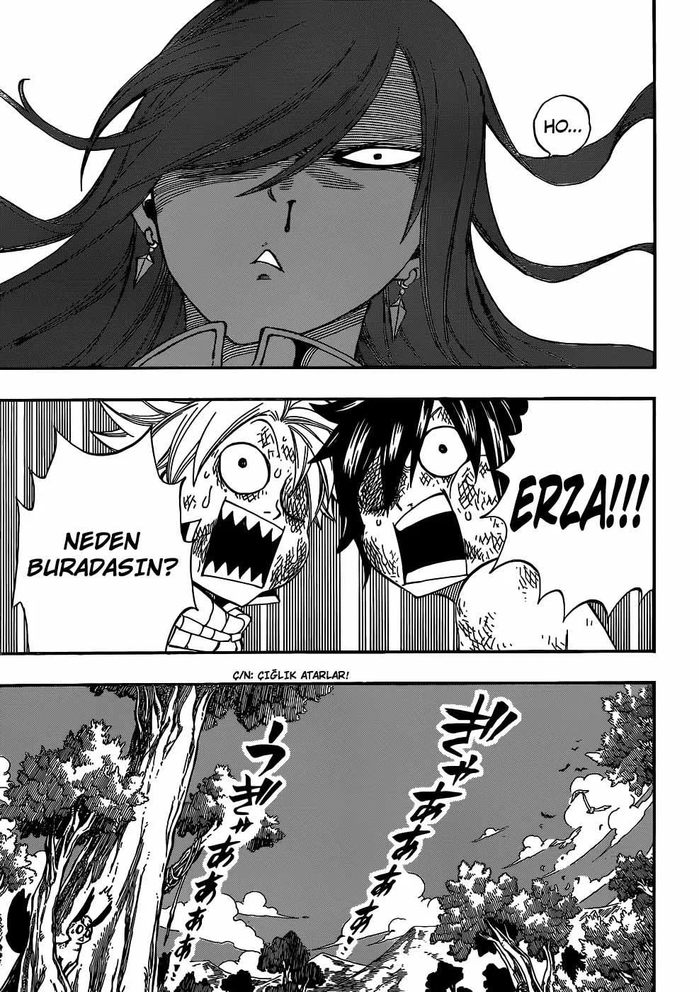 Fairy Tail - Sayfa 19