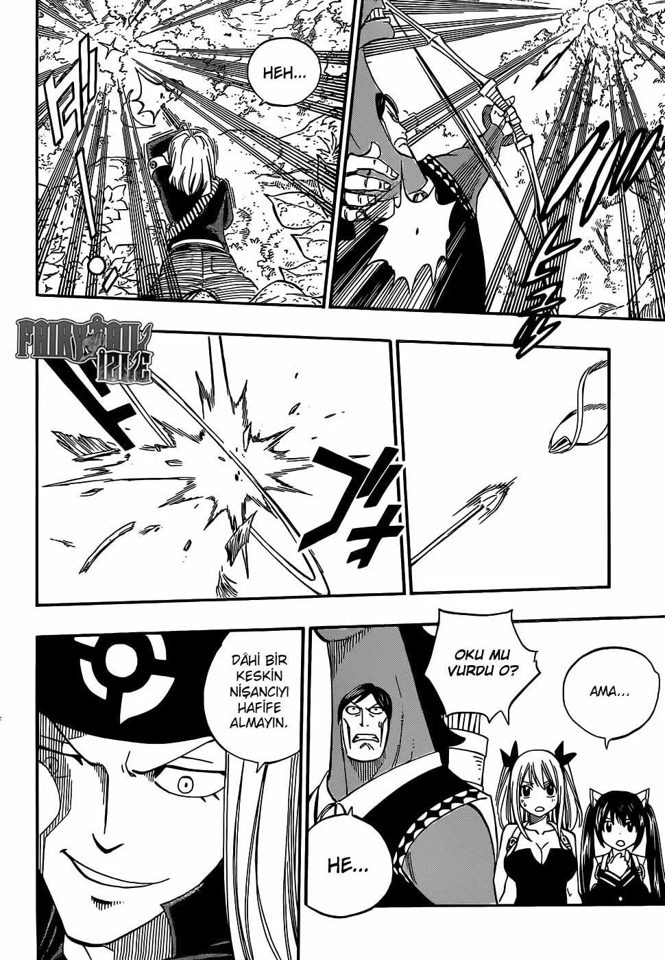 Fairy Tail - Sayfa 13