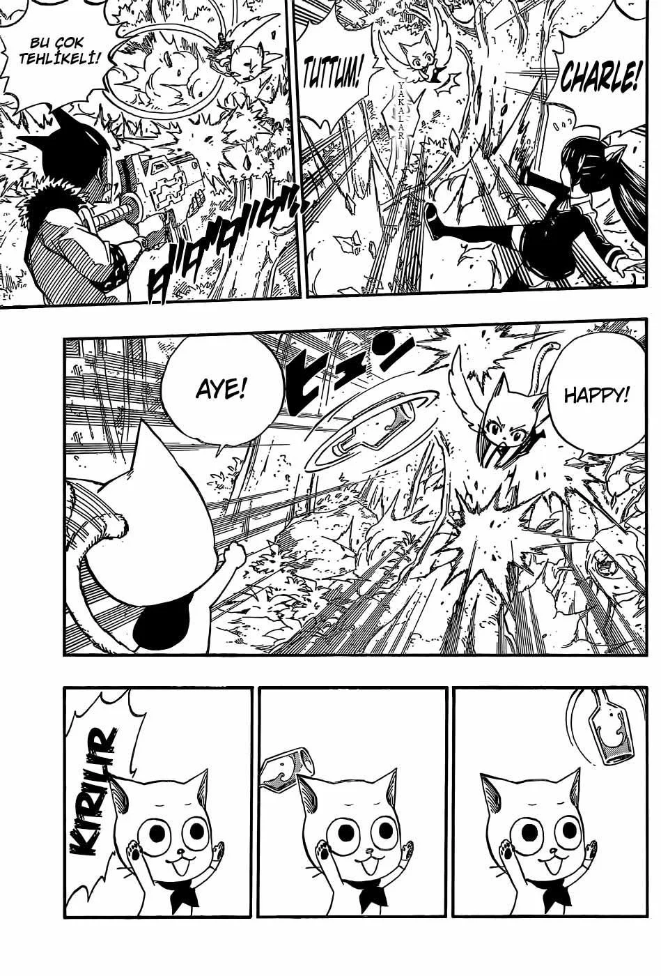 Fairy Tail - Sayfa 12