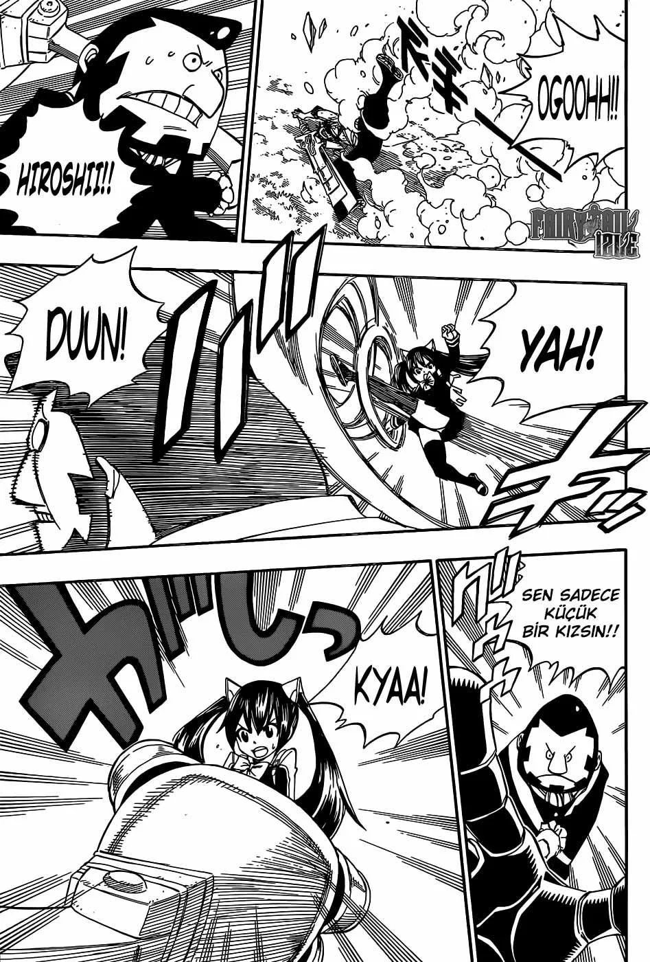 Fairy Tail - Sayfa 14