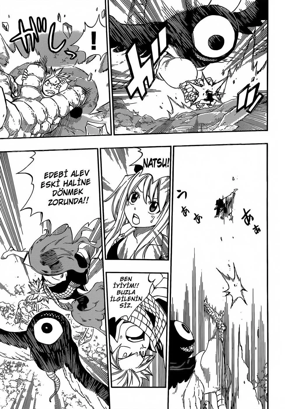 Fairy Tail - Sayfa 13