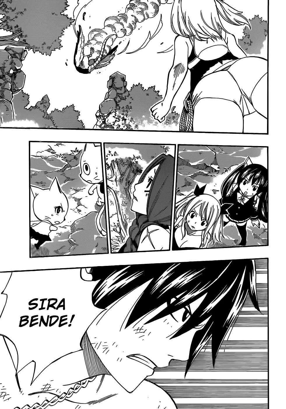 Fairy Tail - Sayfa 15