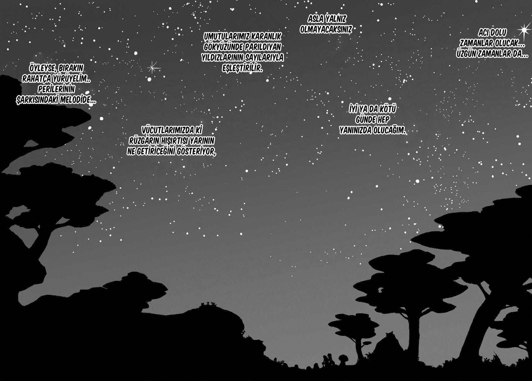 Fairy Tail - Sayfa 15