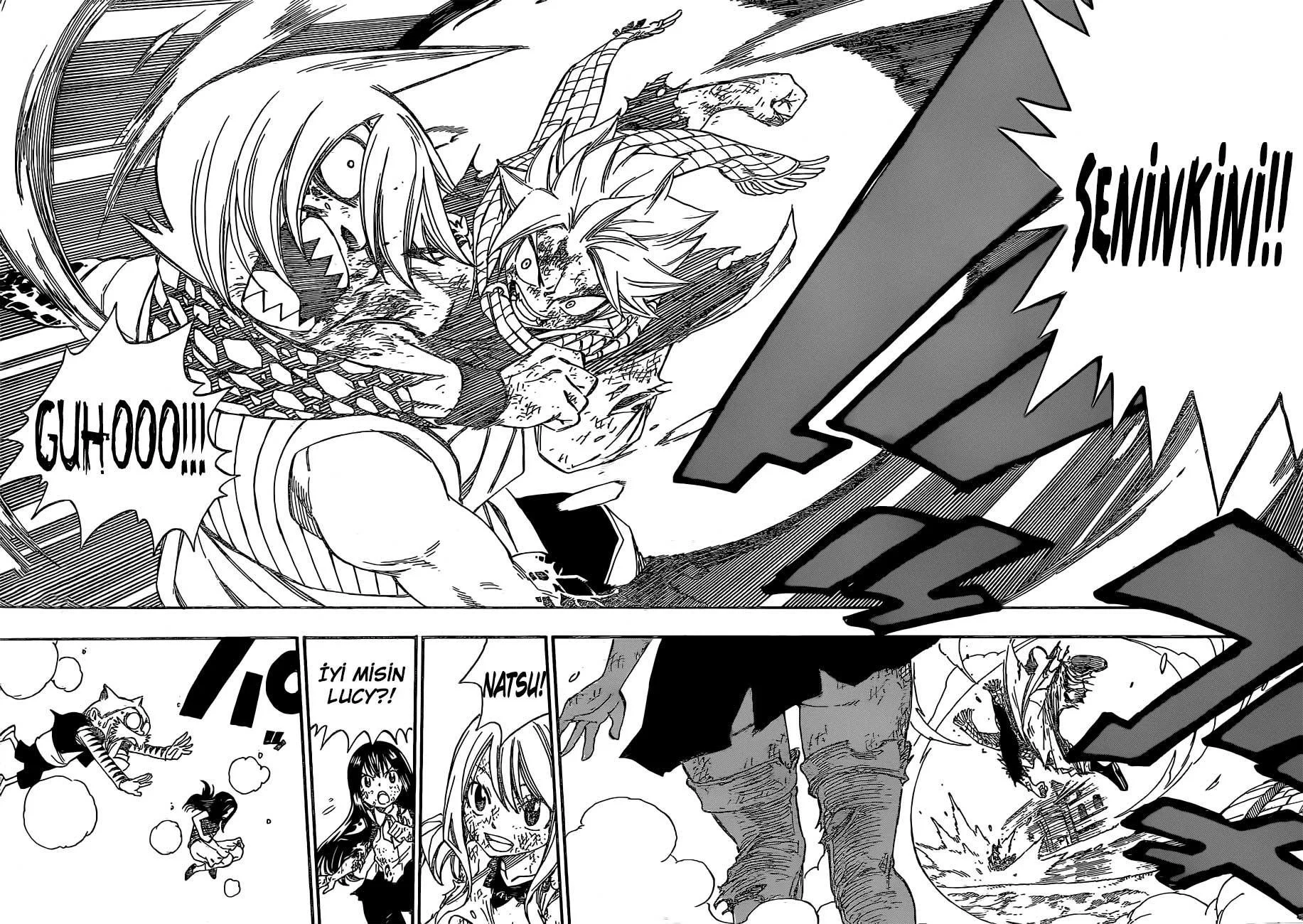 Fairy Tail - Sayfa 17