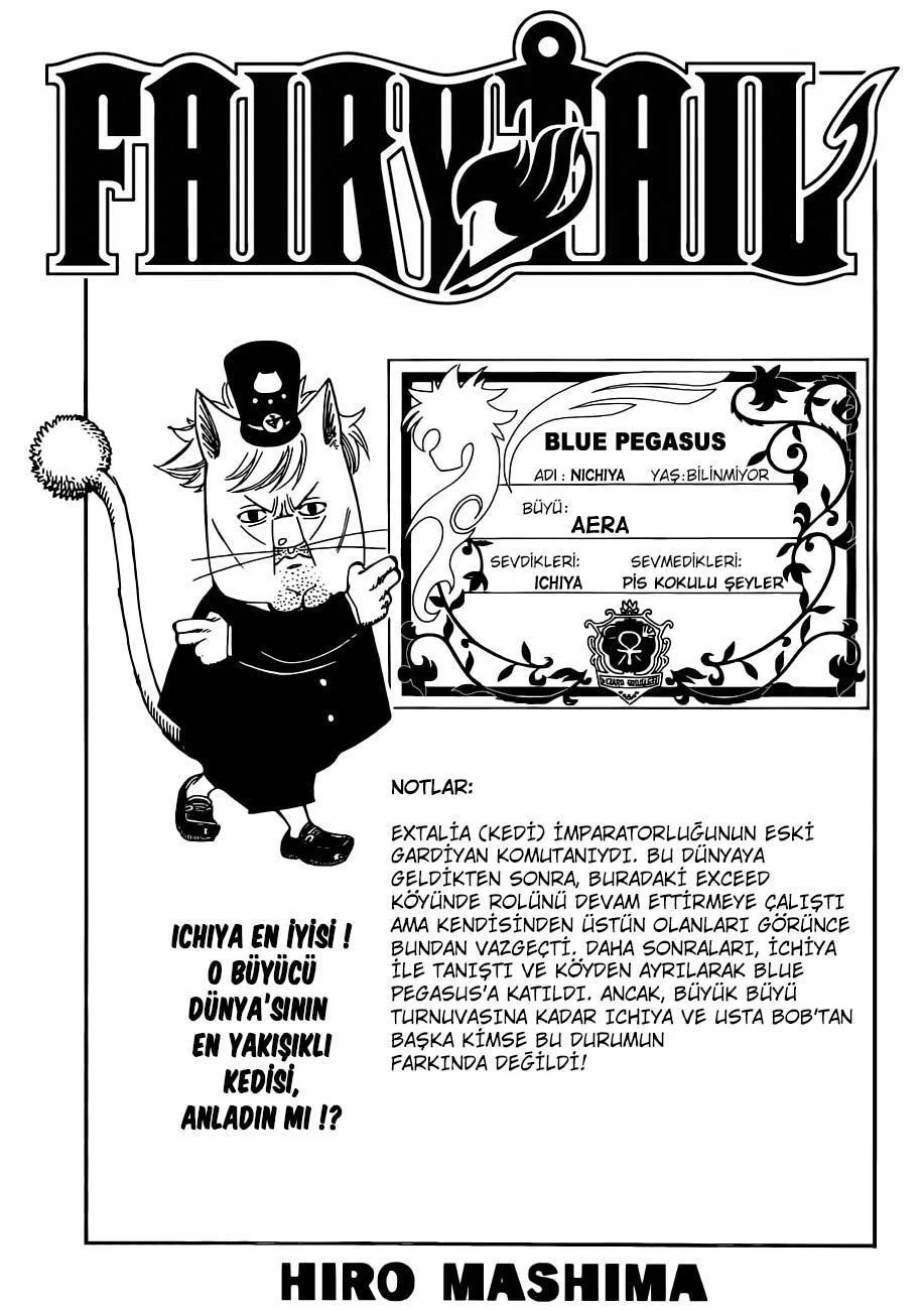 Fairy Tail - Sayfa 2