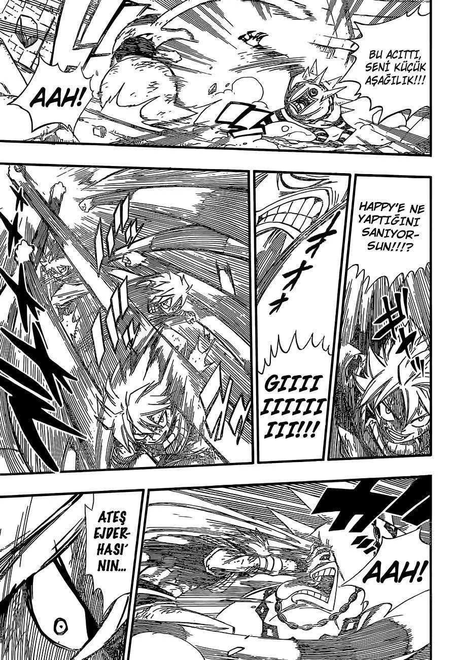 Fairy Tail - Sayfa 13