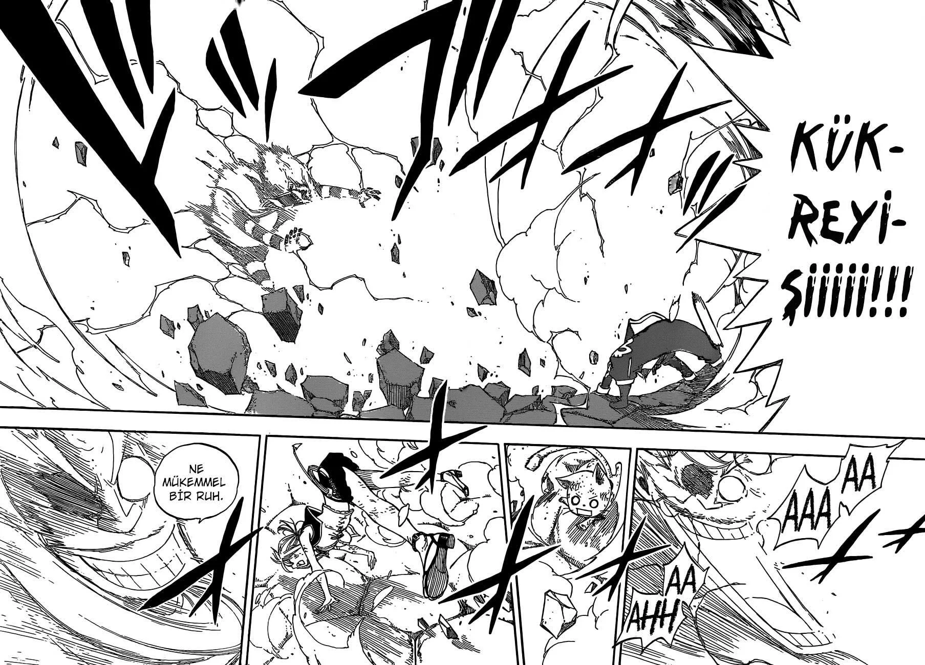 Fairy Tail - Sayfa 13