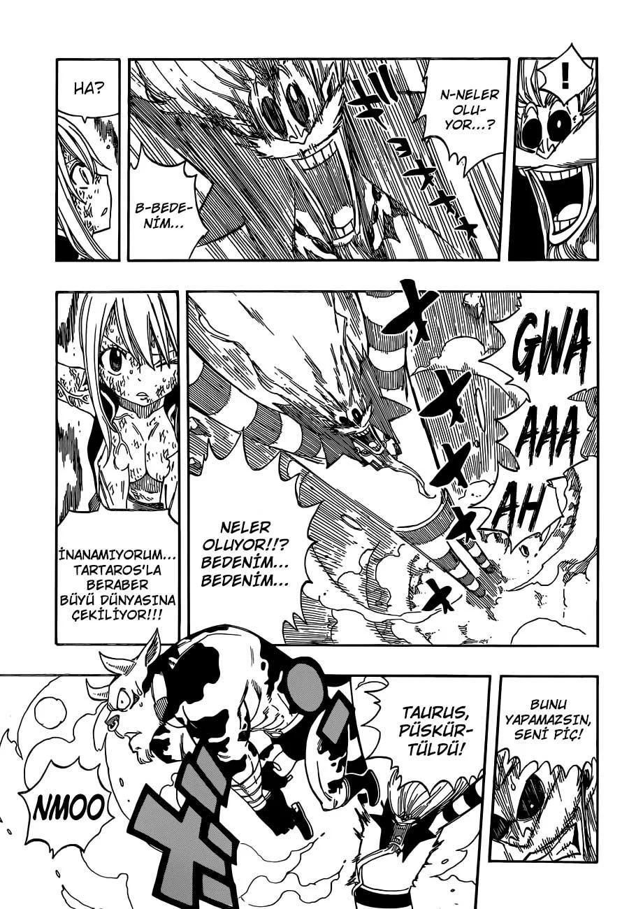 Fairy Tail - Sayfa 17