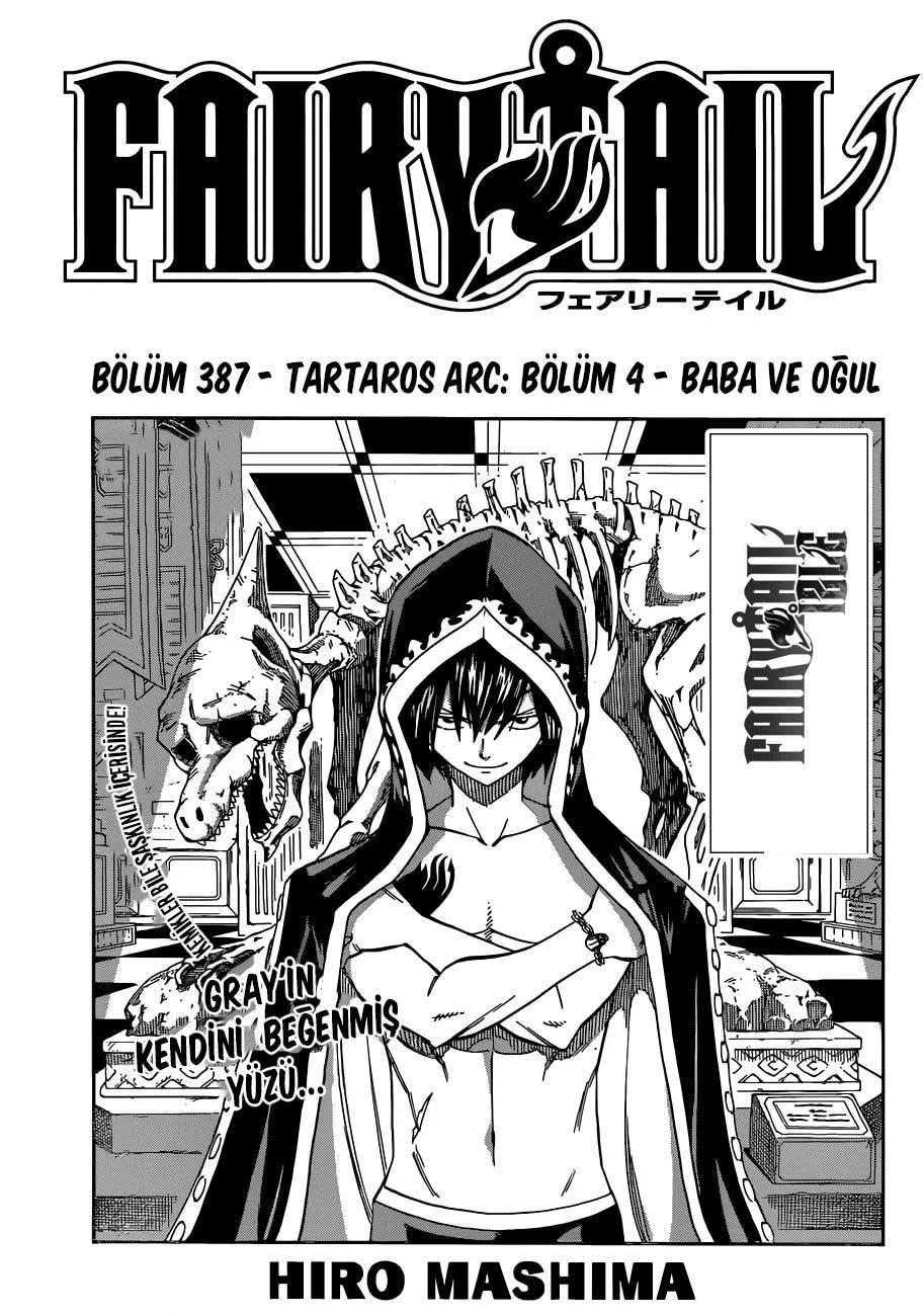 Fairy Tail - Sayfa 2