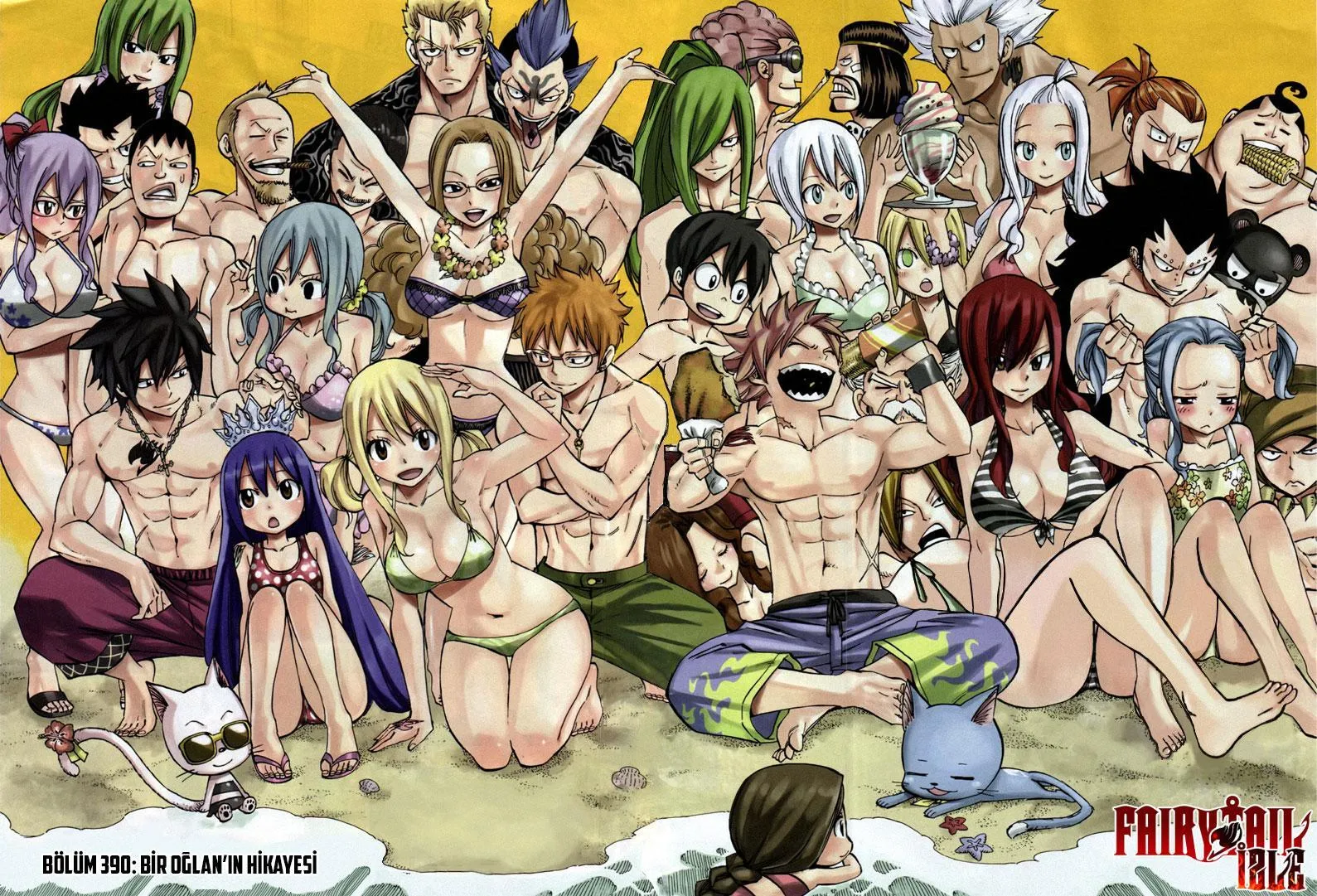 Fairy Tail - Sayfa 3