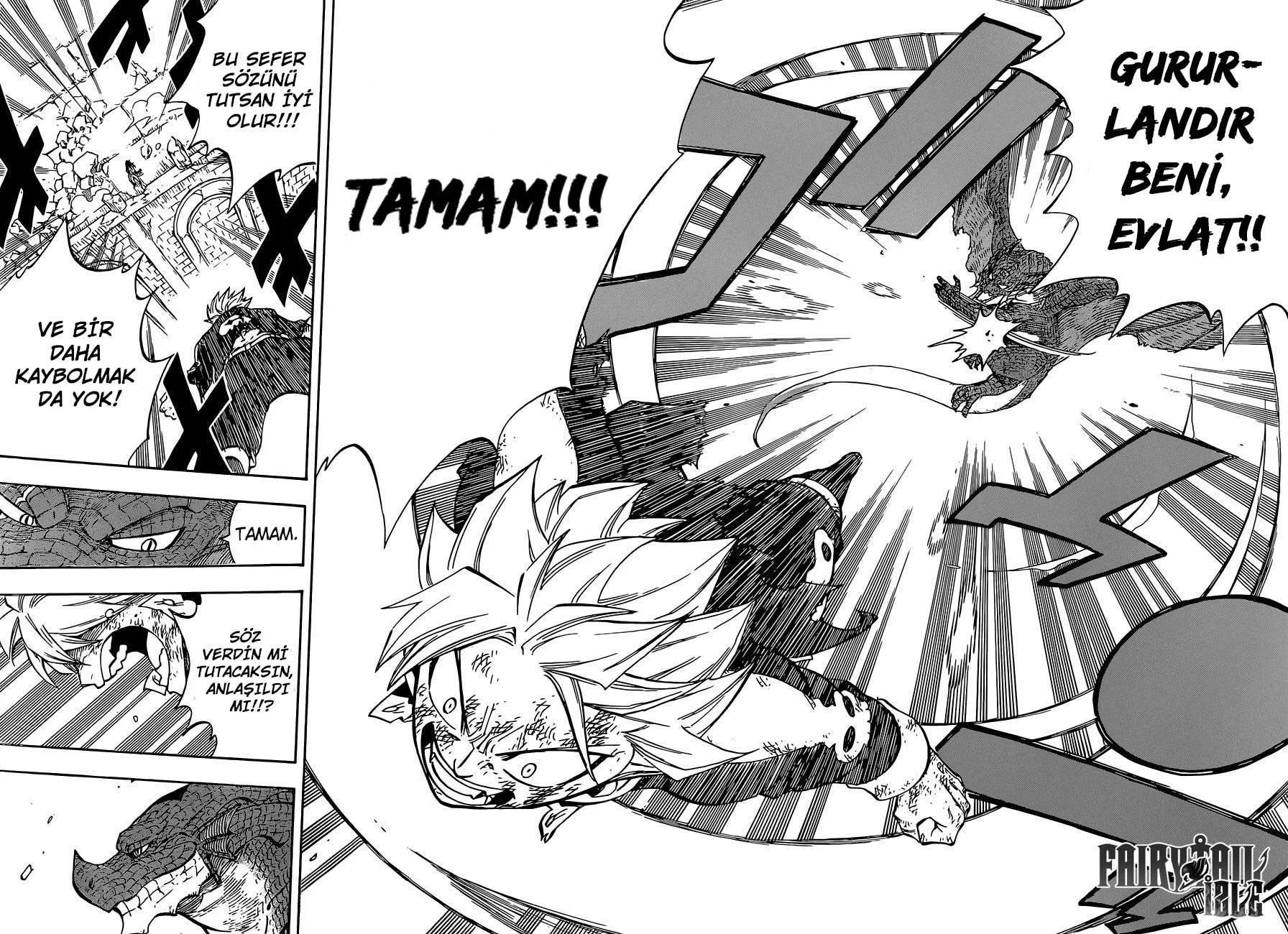 Fairy Tail - Sayfa 17