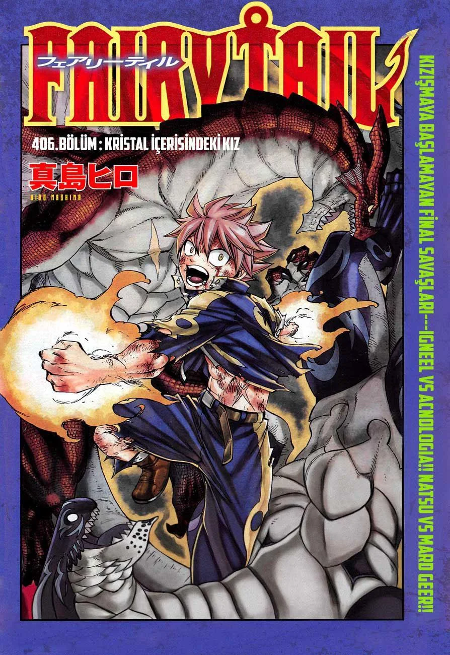 Fairy Tail - Sayfa 2