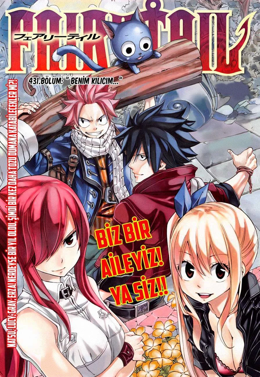 Fairy Tail - Sayfa 2