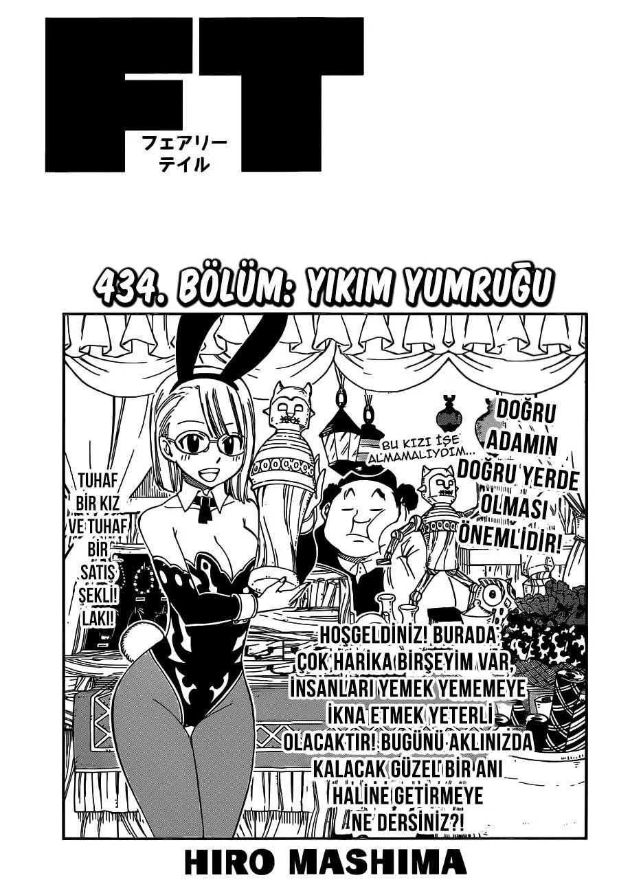 Fairy Tail - Sayfa 2