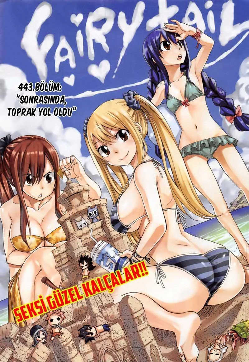 Fairy Tail - Sayfa 2