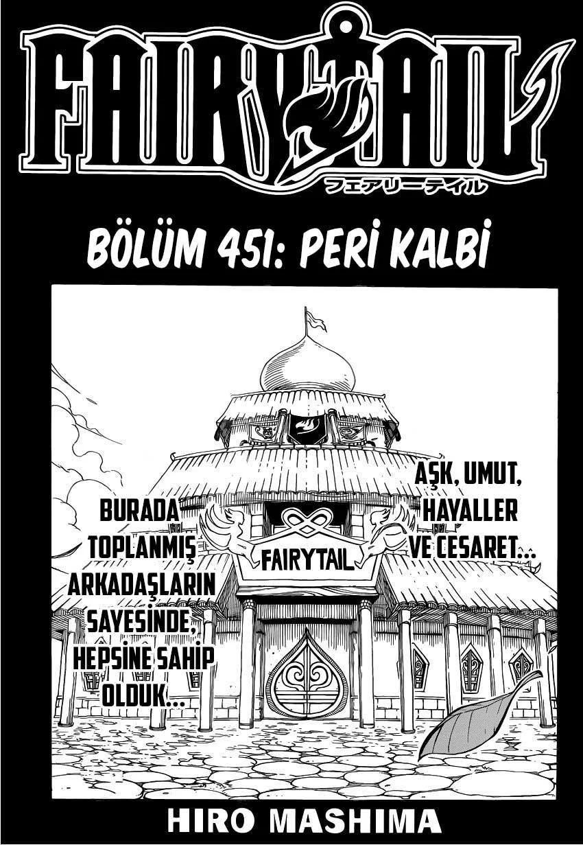 Fairy Tail - Sayfa 2