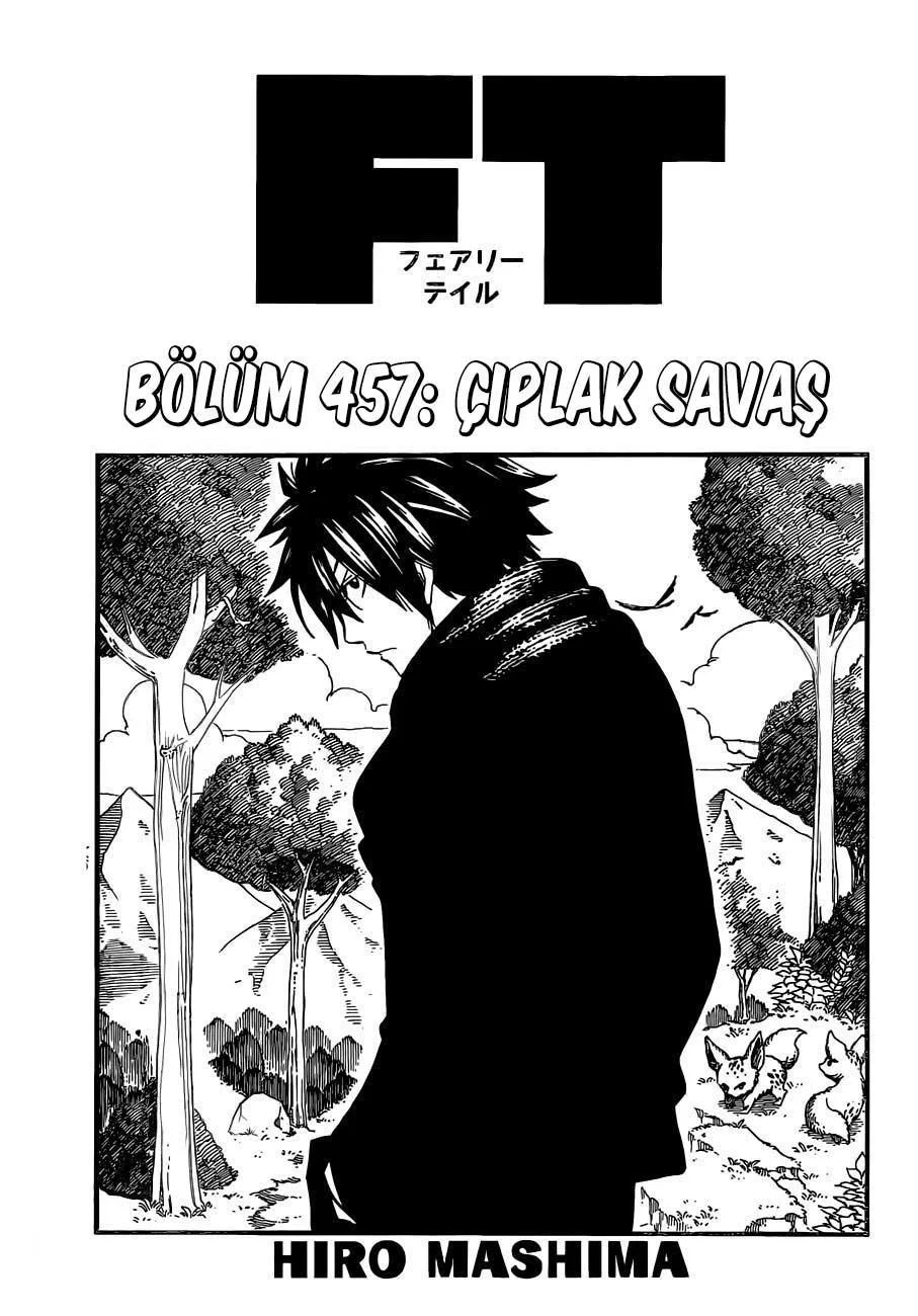 Fairy Tail - Sayfa 2