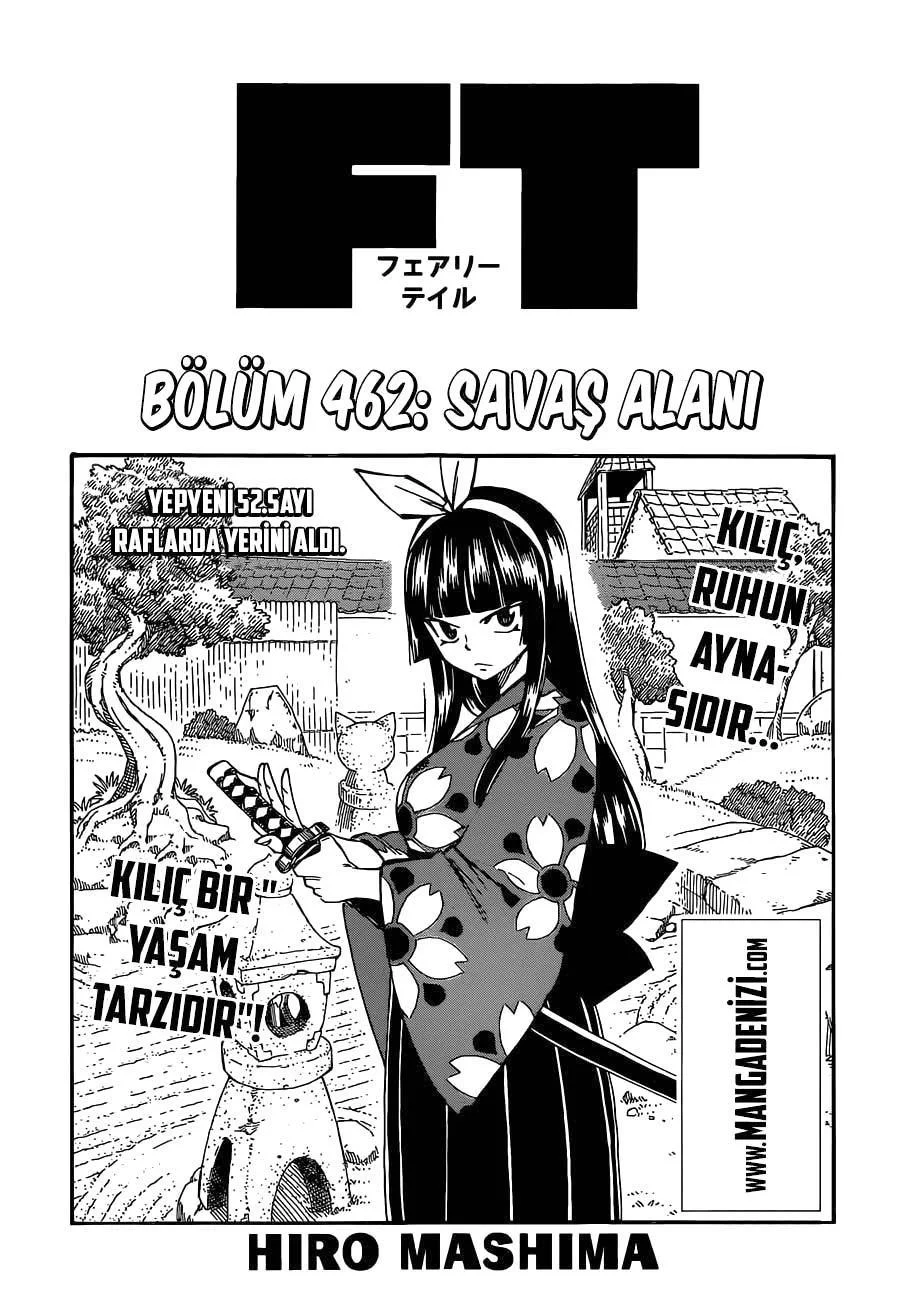 Fairy Tail - Sayfa 2