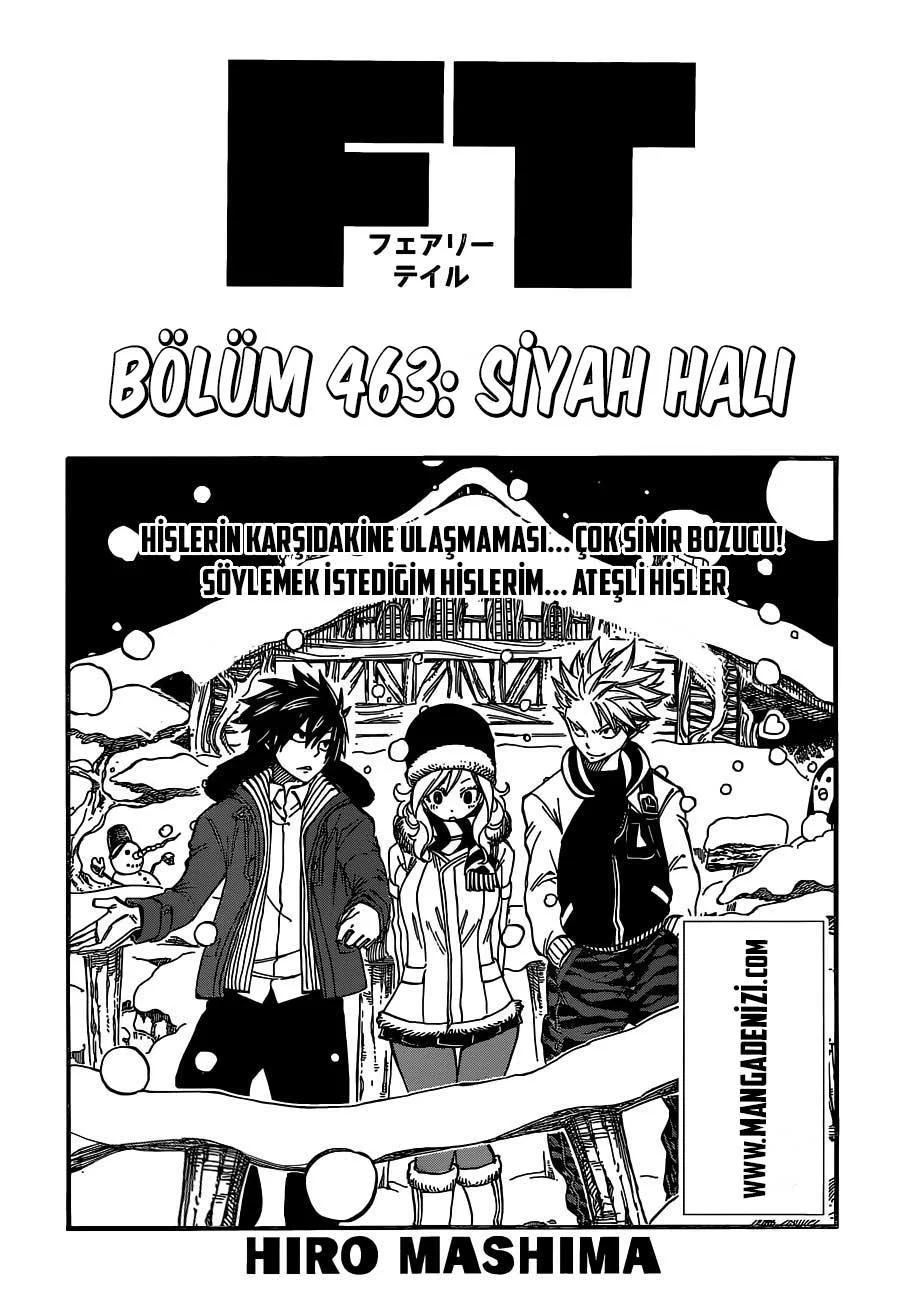 Fairy Tail - Sayfa 2