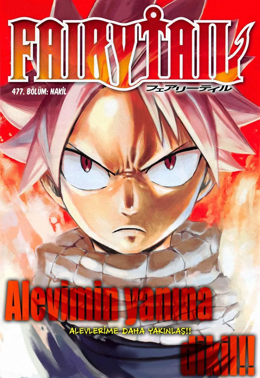 Fairy Tail - Sayfa 2