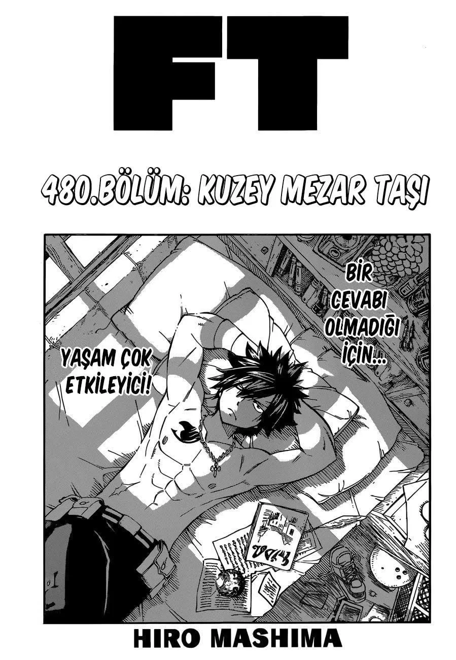 Fairy Tail - Sayfa 2