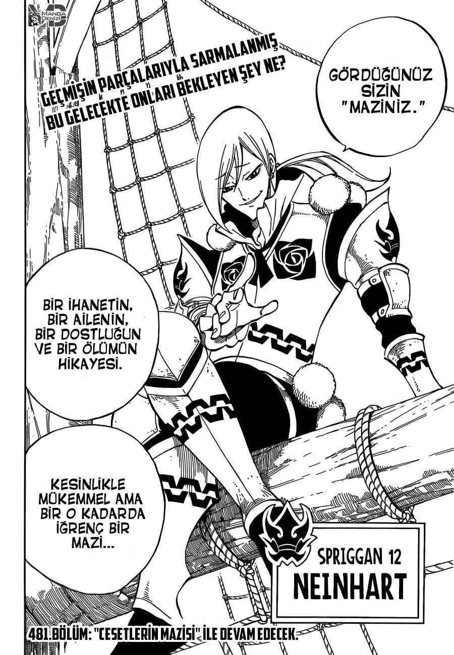 Fairy Tail - Bölüm 480 - Sayfa 20