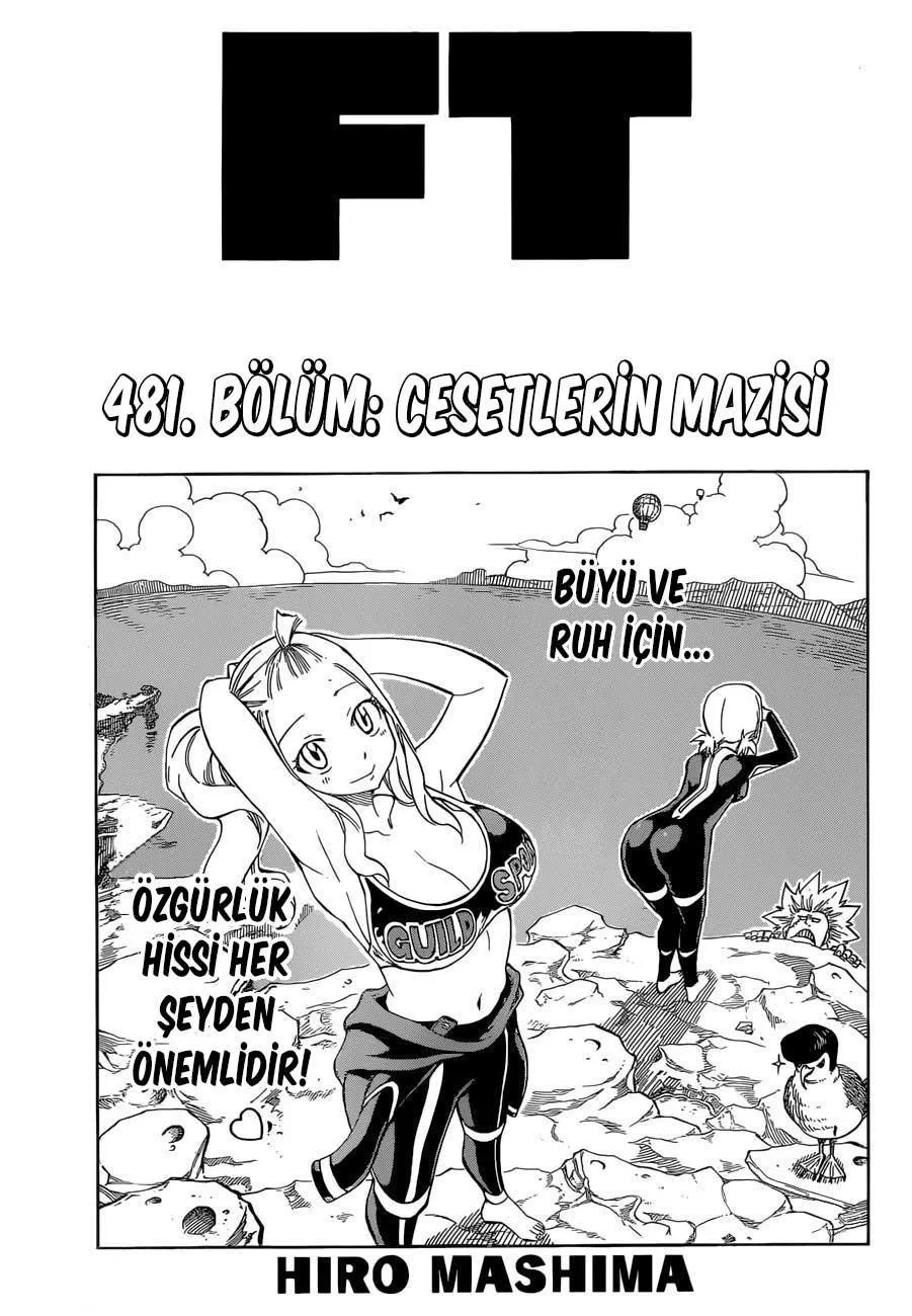 Fairy Tail - Sayfa 2