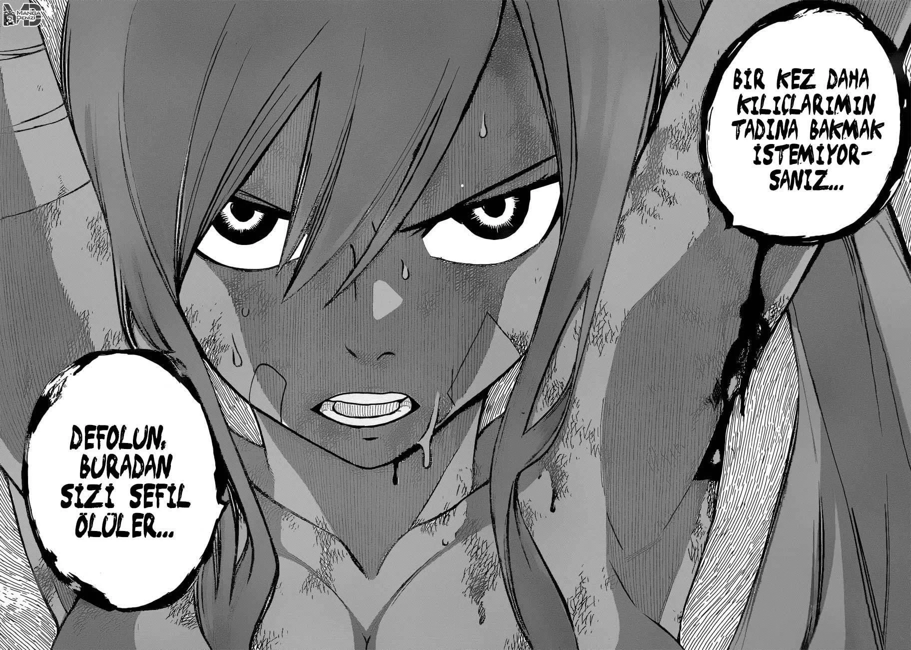 Fairy Tail - Sayfa 17