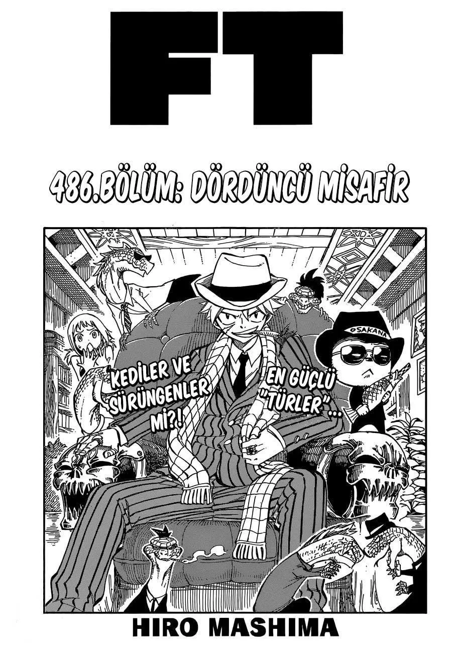 Fairy Tail - Sayfa 2