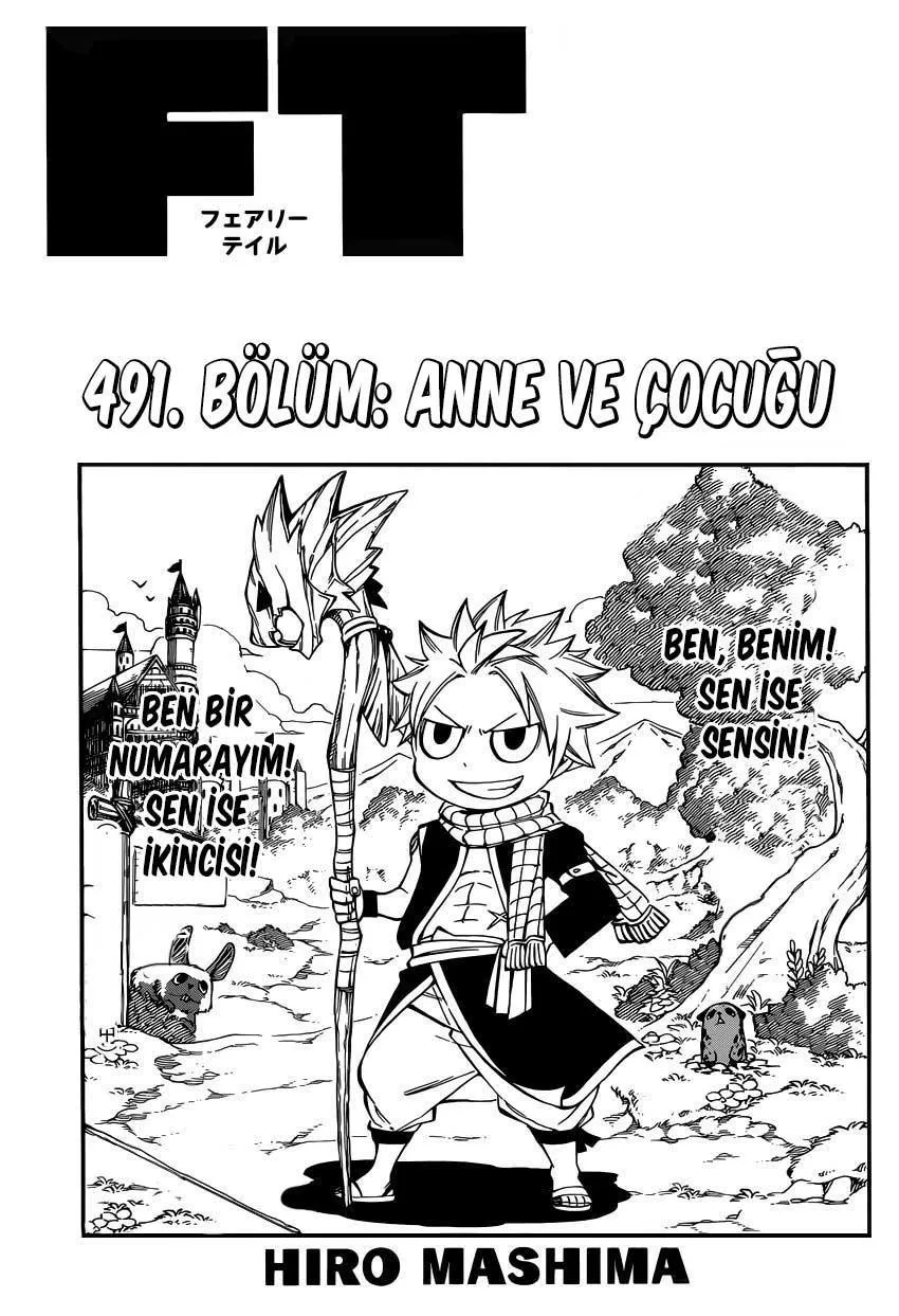 Fairy Tail - Sayfa 2