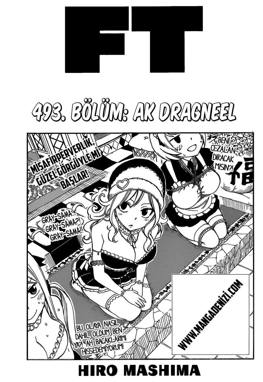 Fairy Tail - Sayfa 2