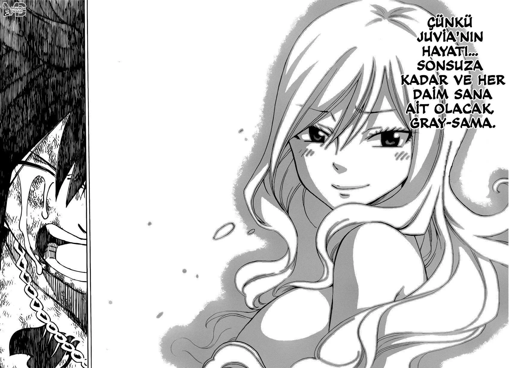Fairy Tail - Sayfa 17