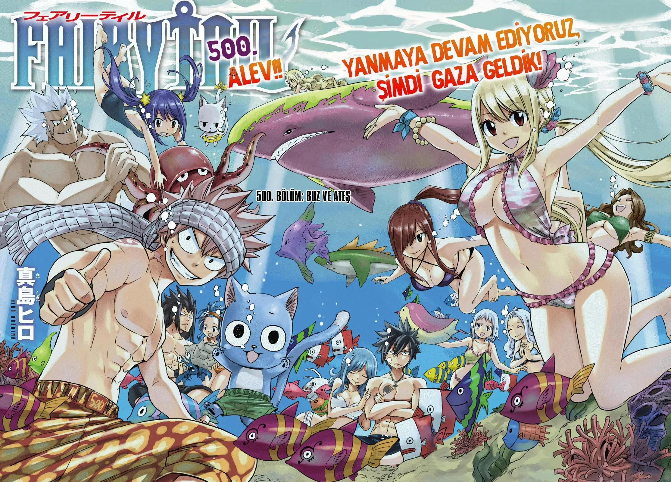 Fairy Tail - Sayfa 2