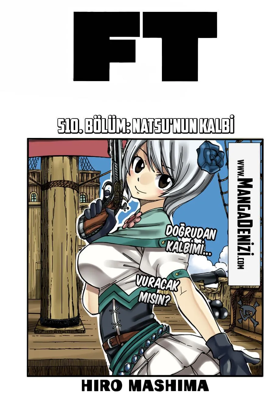 Fairy Tail - Sayfa 2