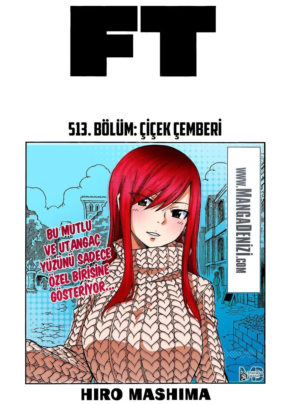 Fairy Tail - Sayfa 2