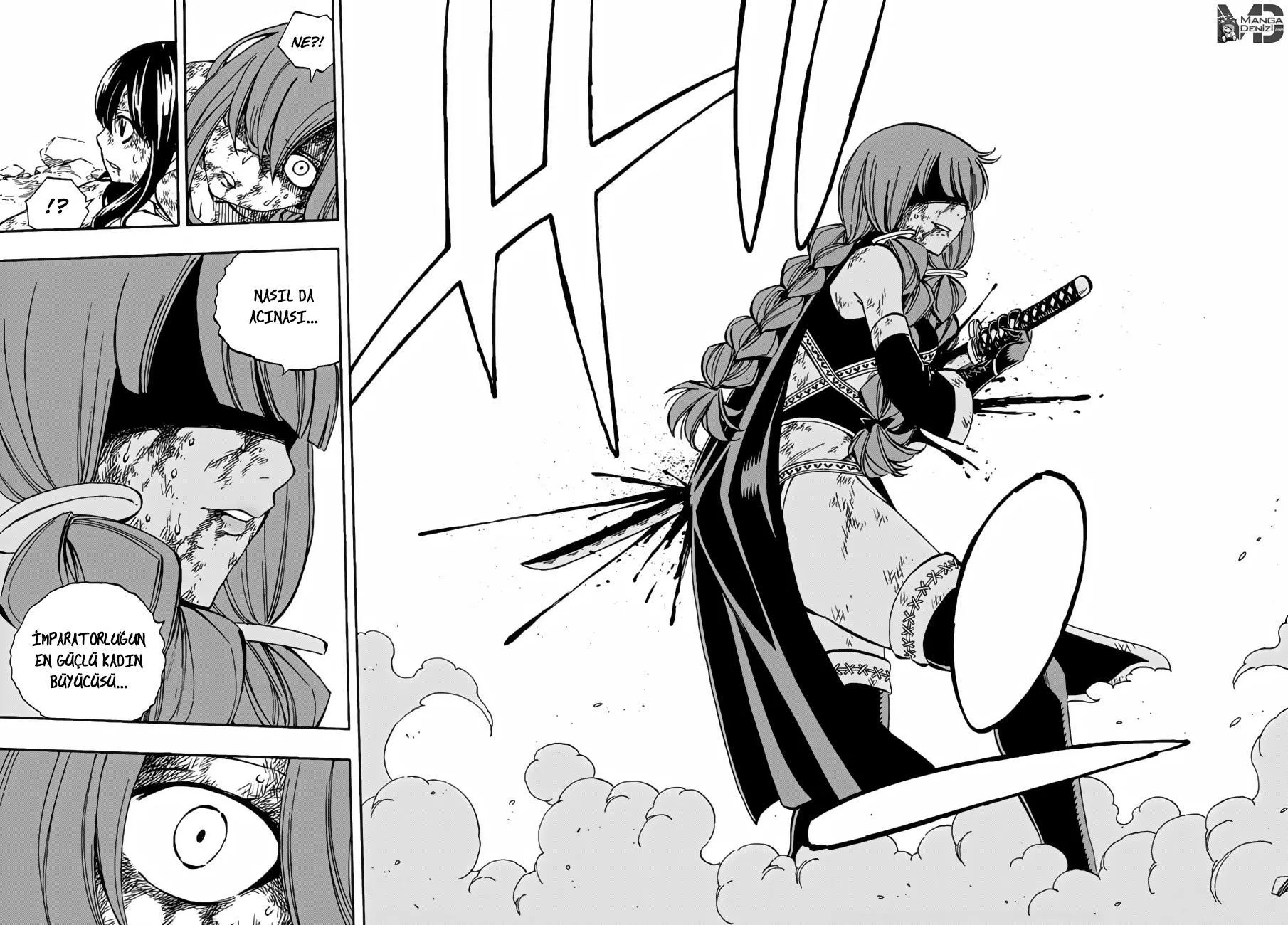 Fairy Tail - Sayfa 17