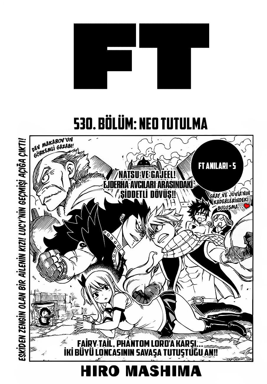 Fairy Tail mangasının 530 bölümünün 2. sayfasını okuyorsunuz.