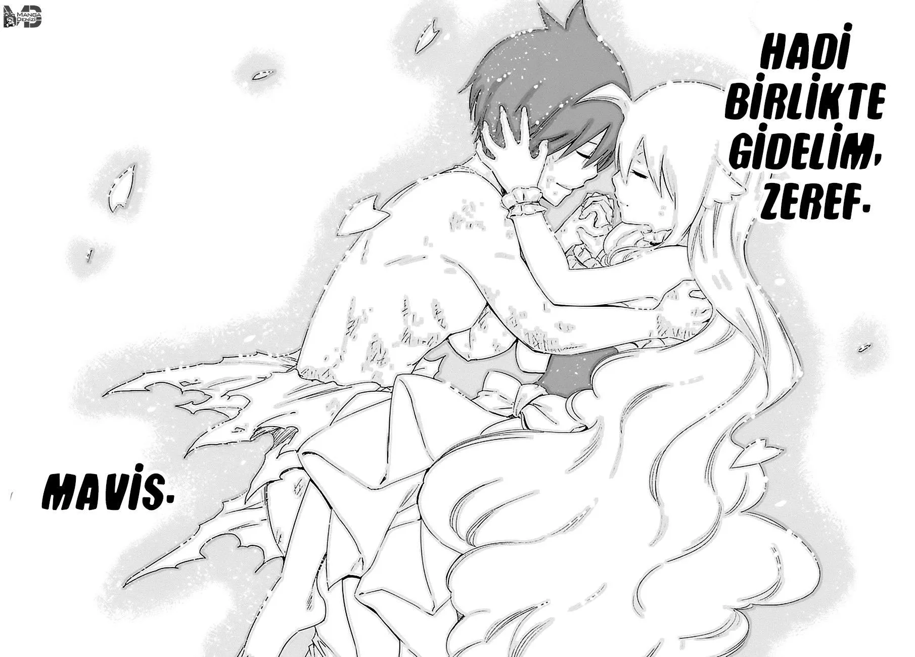 Fairy Tail - Sayfa 15