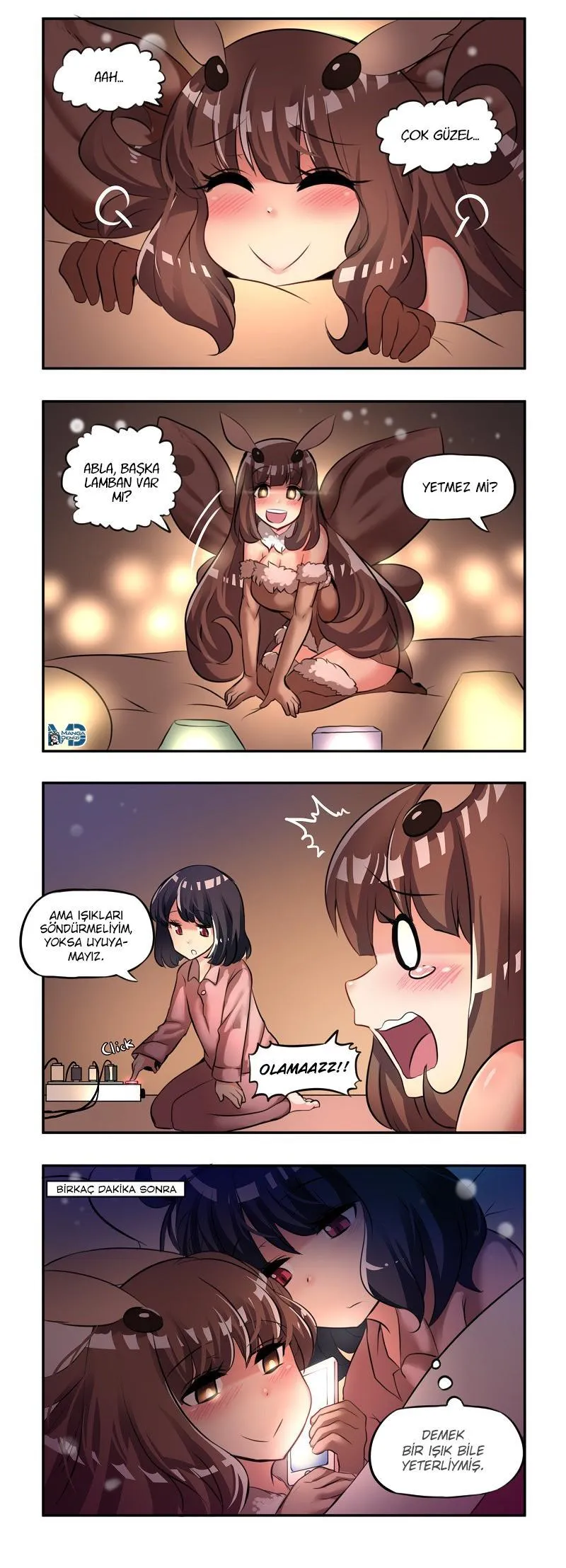 Internet Explorer - Sayfa 2