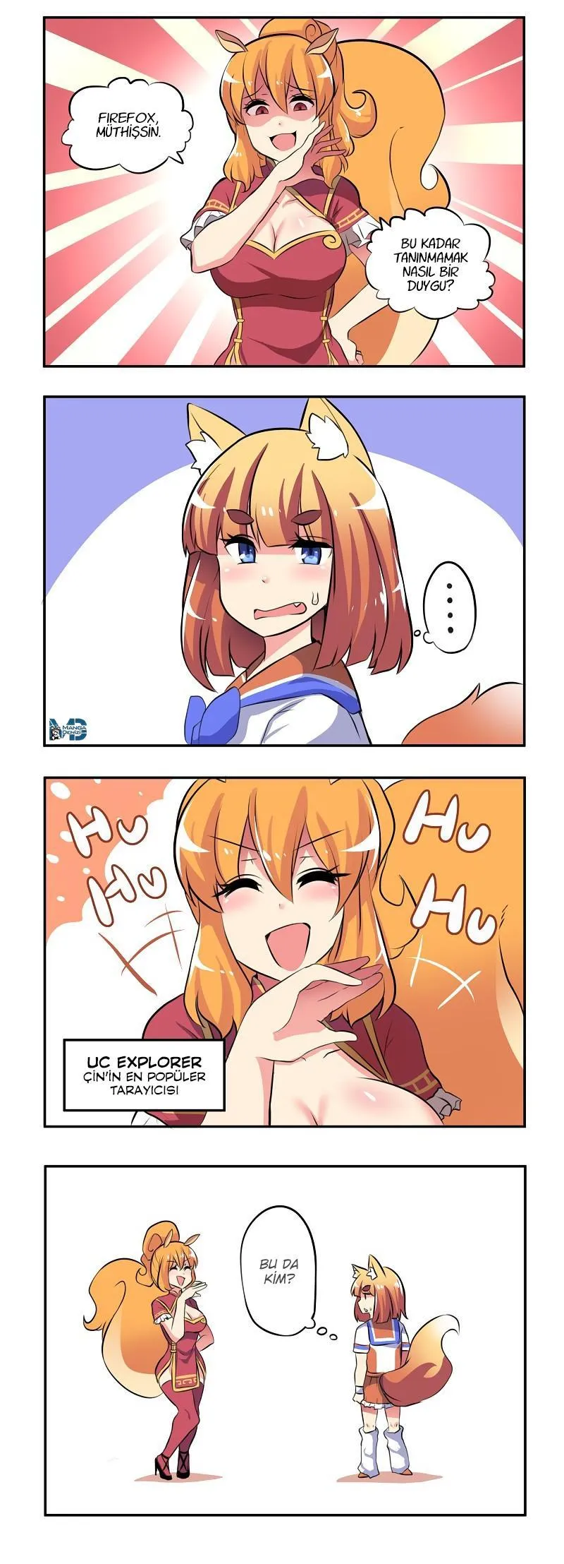 Internet Explorer - Sayfa 2