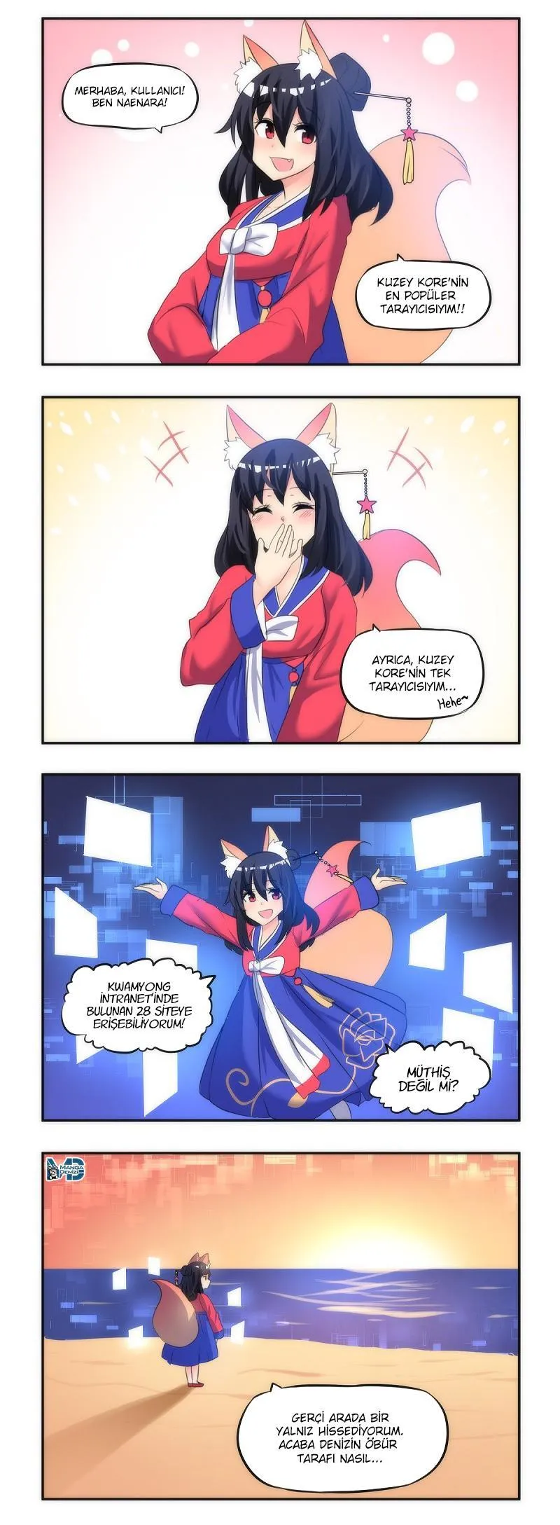 Internet Explorer - Sayfa 2