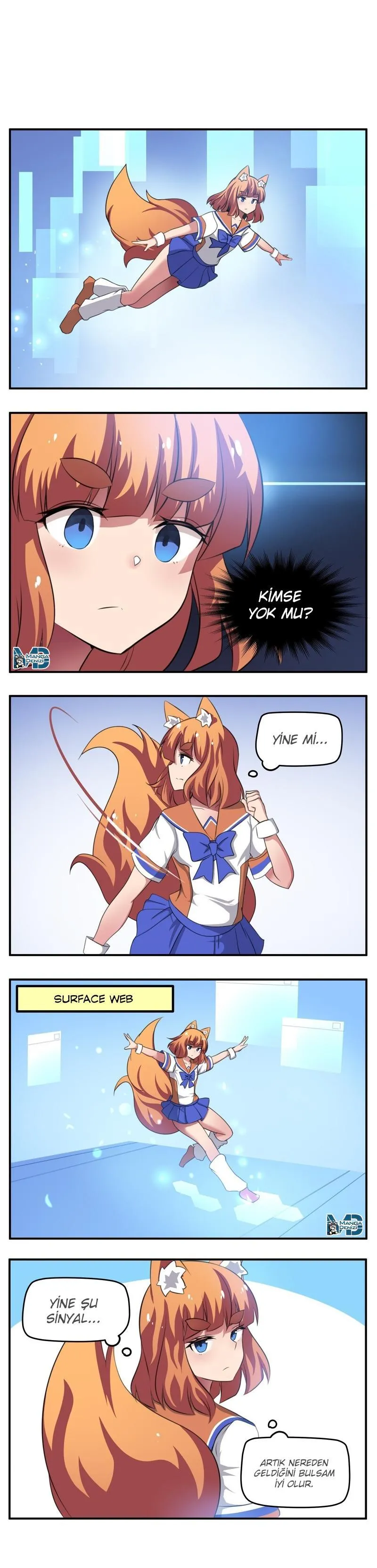 Internet Explorer - Sayfa 2