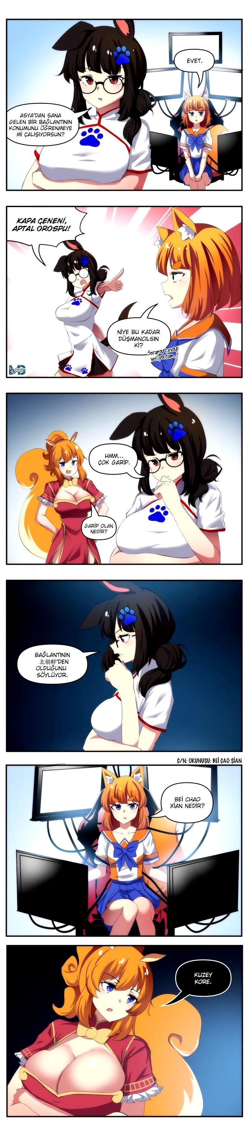 Internet Explorer - Sayfa 2