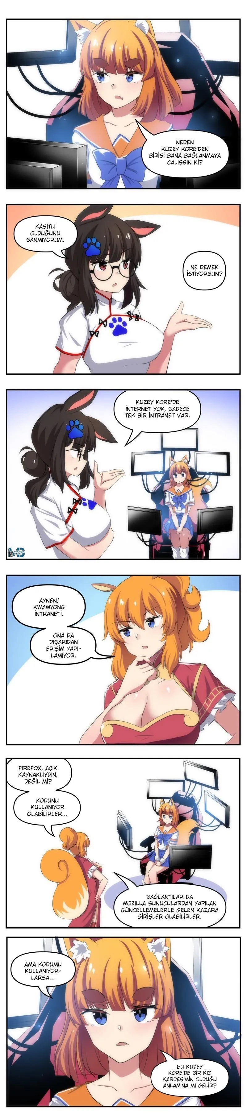 Internet Explorer - Sayfa 2