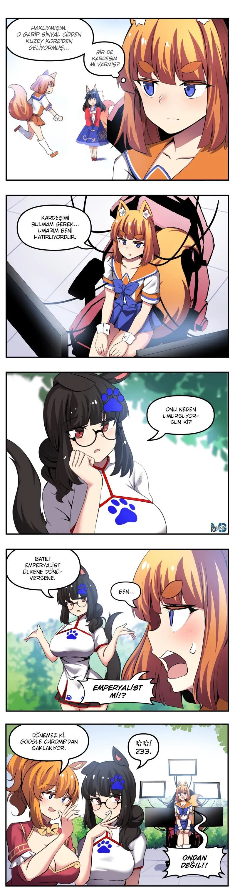 Internet Explorer - Sayfa 2