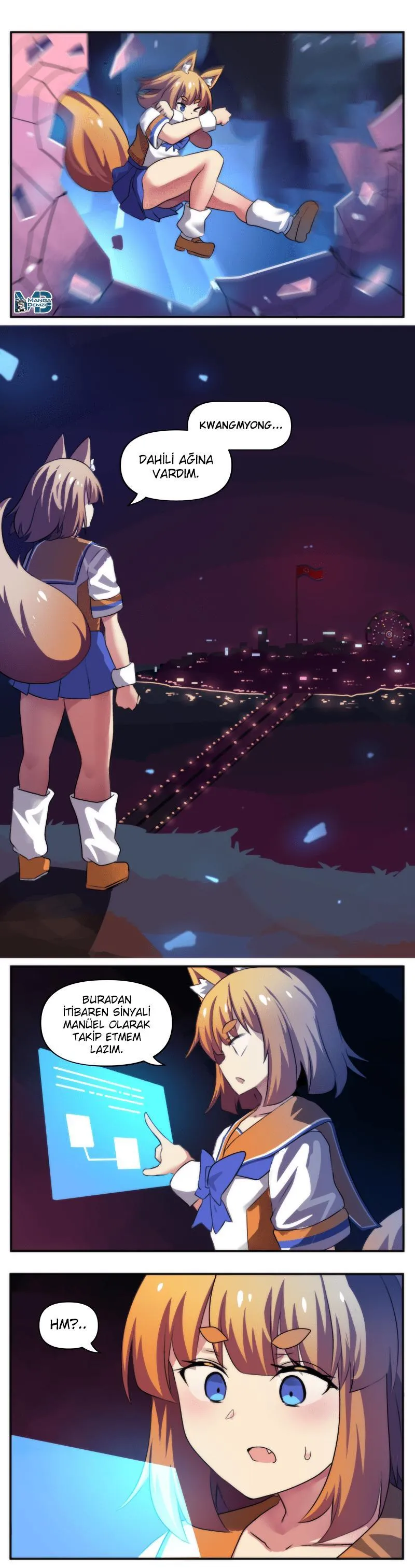 Internet Explorer - Sayfa 2