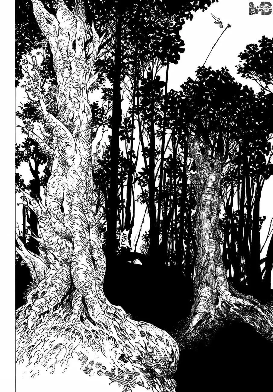 Nanatsu no Taizai - Sayfa 12