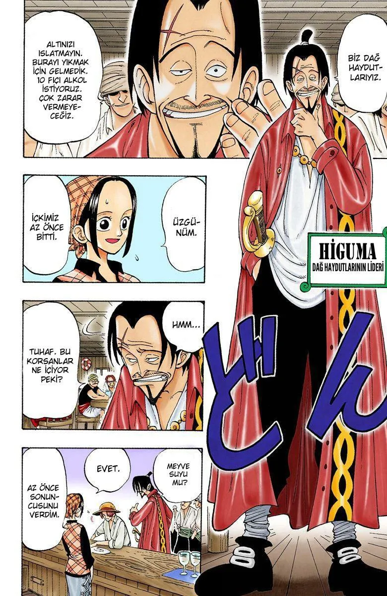 One Piece [Renkli] - Sayfa 14