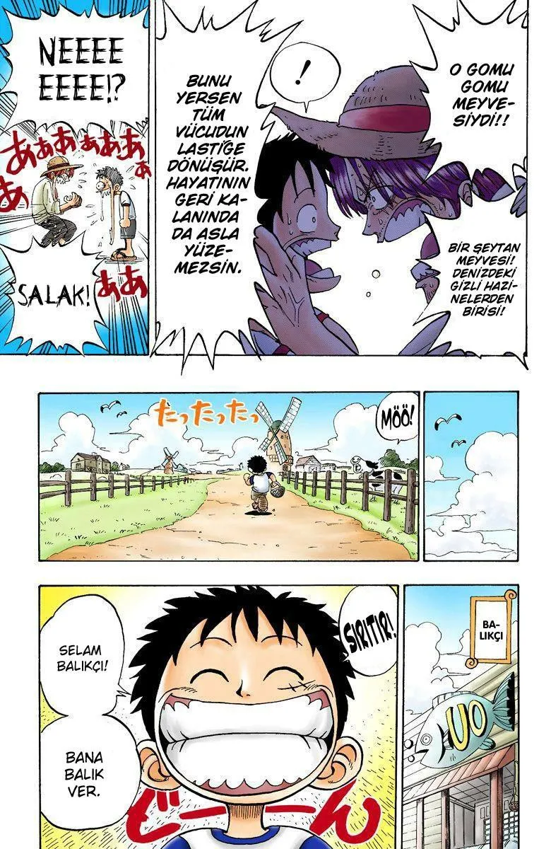 One Piece [Renkli] - Sayfa 21